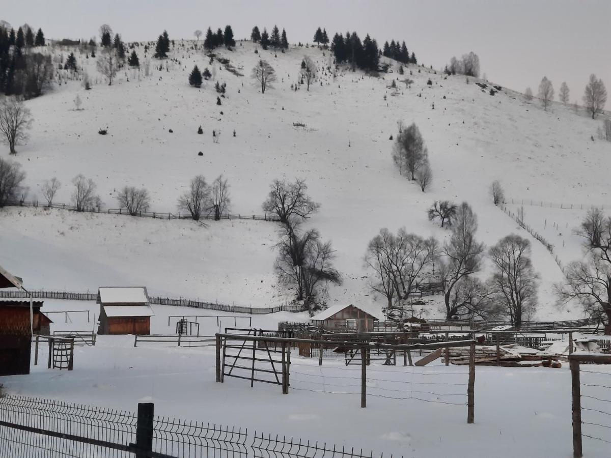 Casa Dumitru Si Elena Ciocanesti Bucovina Zewnętrze zdjęcie