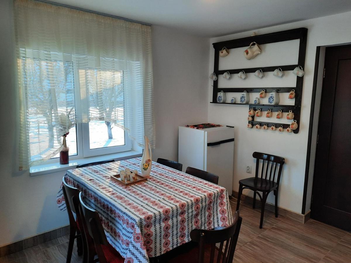 Casa Dumitru Si Elena Ciocanesti Bucovina Zewnętrze zdjęcie