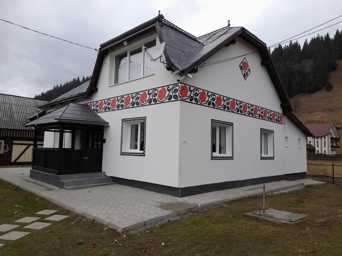 Casa Dumitru Si Elena Ciocanesti Bucovina Zewnętrze zdjęcie