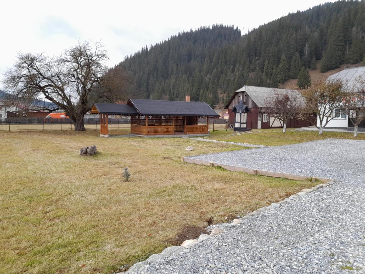 Casa Dumitru Si Elena Ciocanesti Bucovina Zewnętrze zdjęcie
