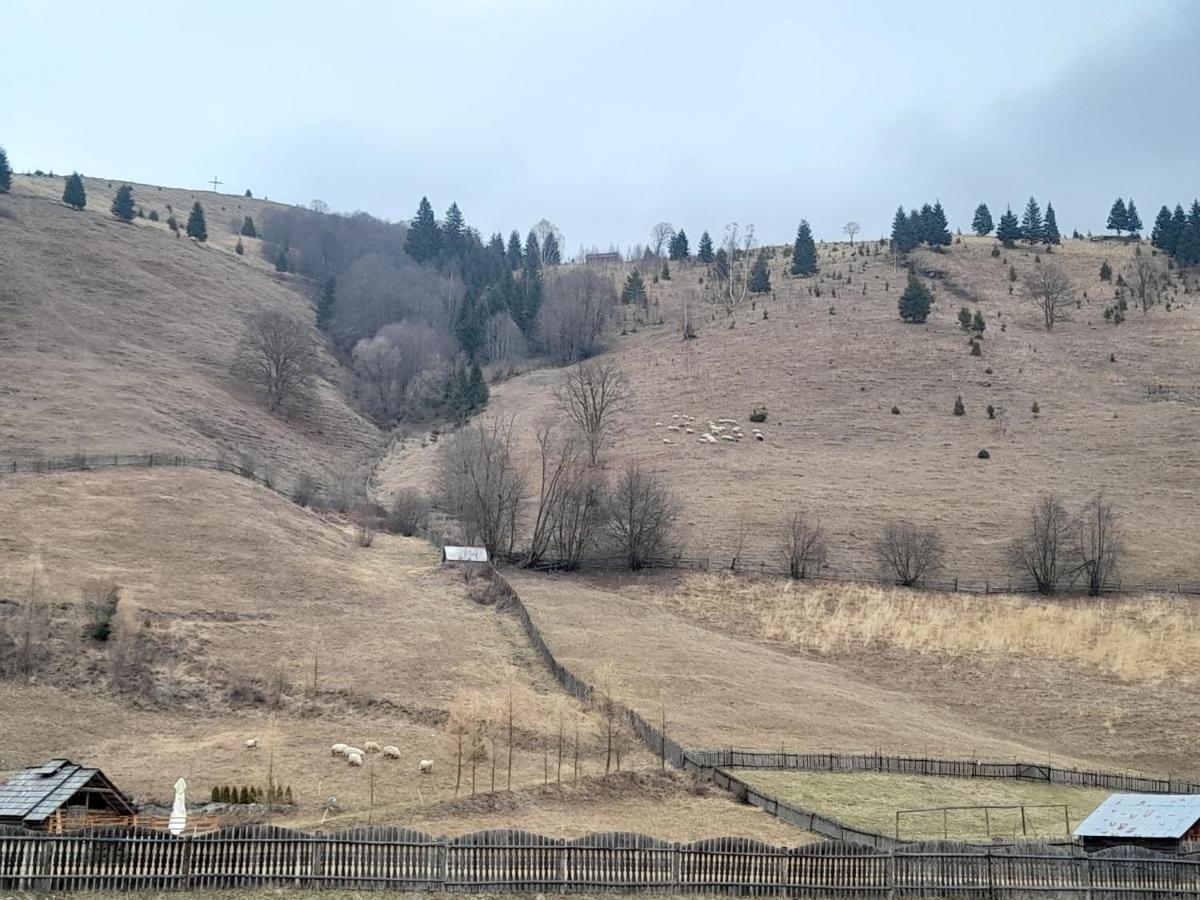 Casa Dumitru Si Elena Ciocanesti Bucovina Zewnętrze zdjęcie