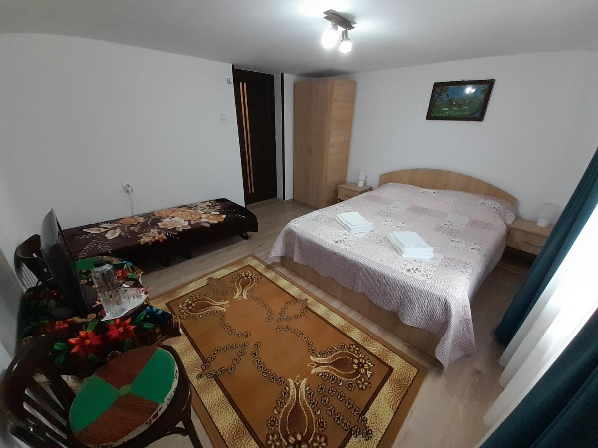 Casa Dumitru Si Elena Ciocanesti Bucovina Zewnętrze zdjęcie