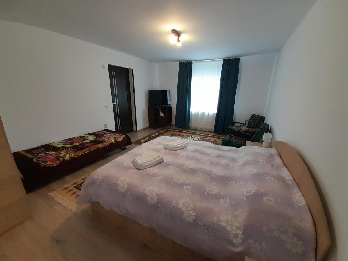 Casa Dumitru Si Elena Ciocanesti Bucovina Zewnętrze zdjęcie