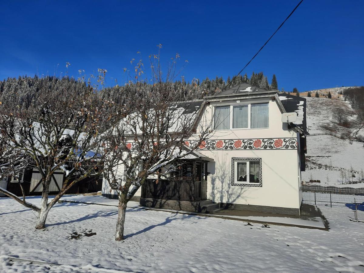 Casa Dumitru Si Elena Ciocanesti Bucovina Zewnętrze zdjęcie