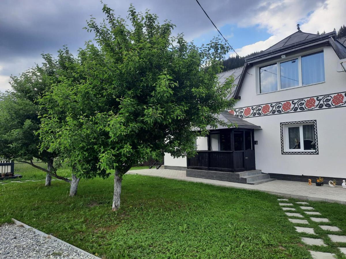 Casa Dumitru Si Elena Ciocanesti Bucovina Zewnętrze zdjęcie