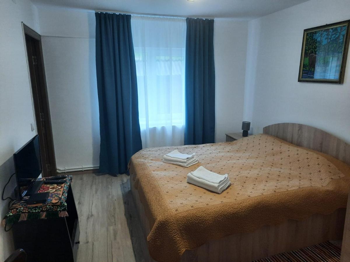 Casa Dumitru Si Elena Ciocanesti Bucovina Zewnętrze zdjęcie