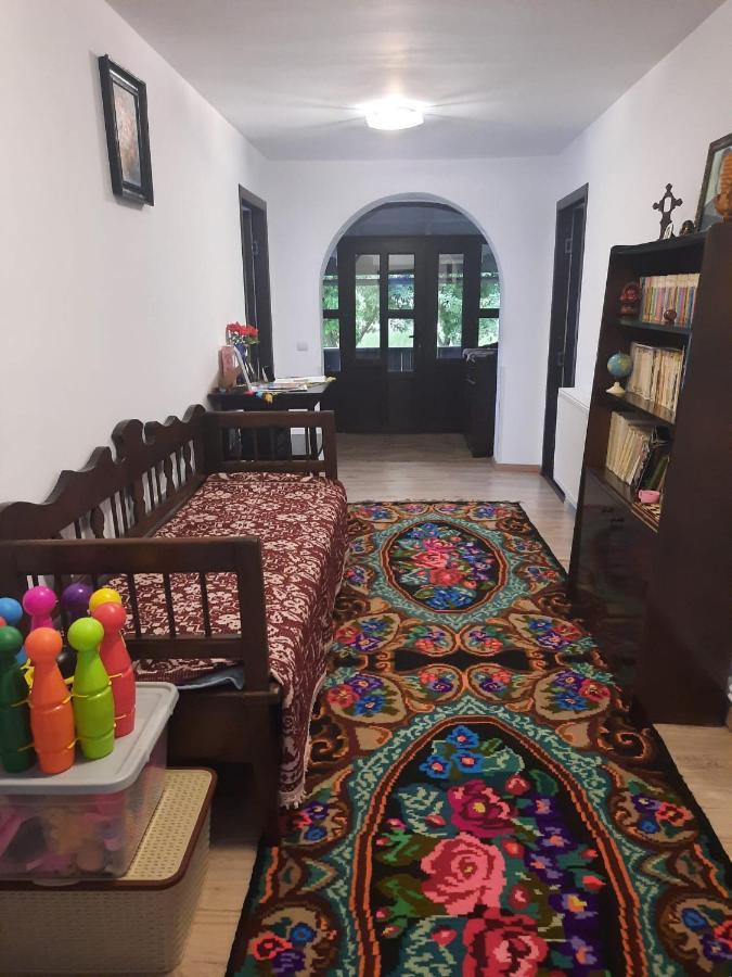 Casa Dumitru Si Elena Ciocanesti Bucovina Zewnętrze zdjęcie