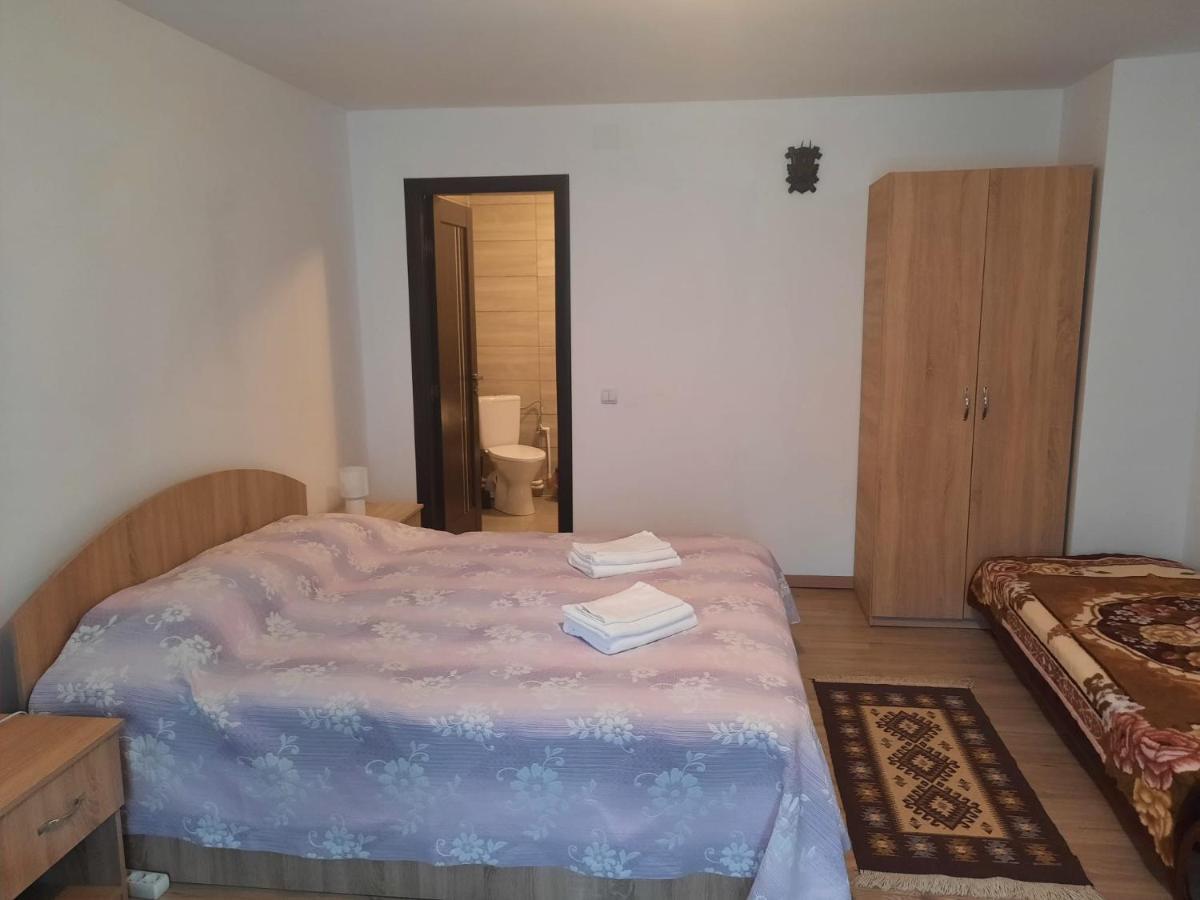 Casa Dumitru Si Elena Ciocanesti Bucovina Zewnętrze zdjęcie