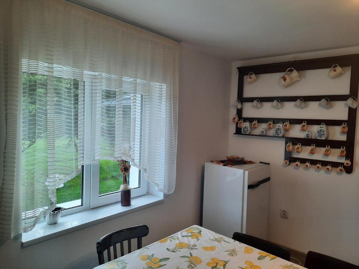 Casa Dumitru Si Elena Ciocanesti Bucovina Zewnętrze zdjęcie