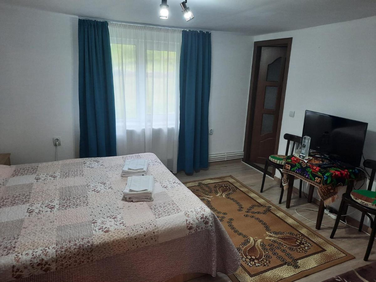 Casa Dumitru Si Elena Ciocanesti Bucovina Zewnętrze zdjęcie