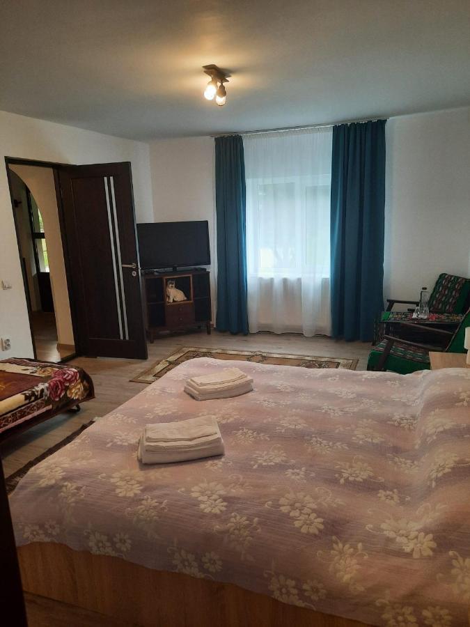 Casa Dumitru Si Elena Ciocanesti Bucovina Zewnętrze zdjęcie
