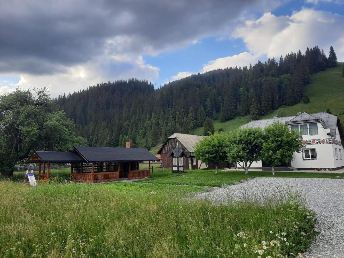 Casa Dumitru Si Elena Ciocanesti Bucovina Zewnętrze zdjęcie