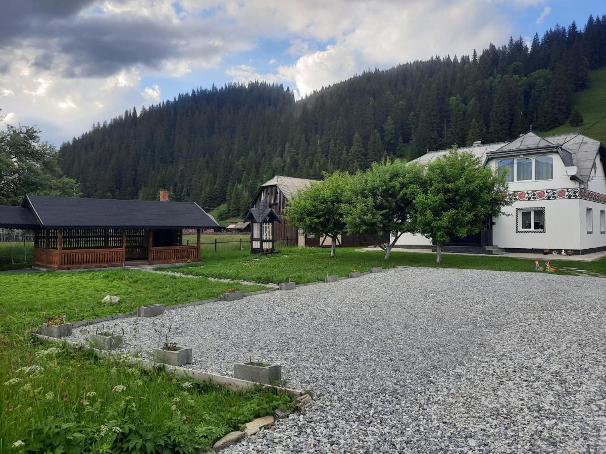 Casa Dumitru Si Elena Ciocanesti Bucovina Zewnętrze zdjęcie