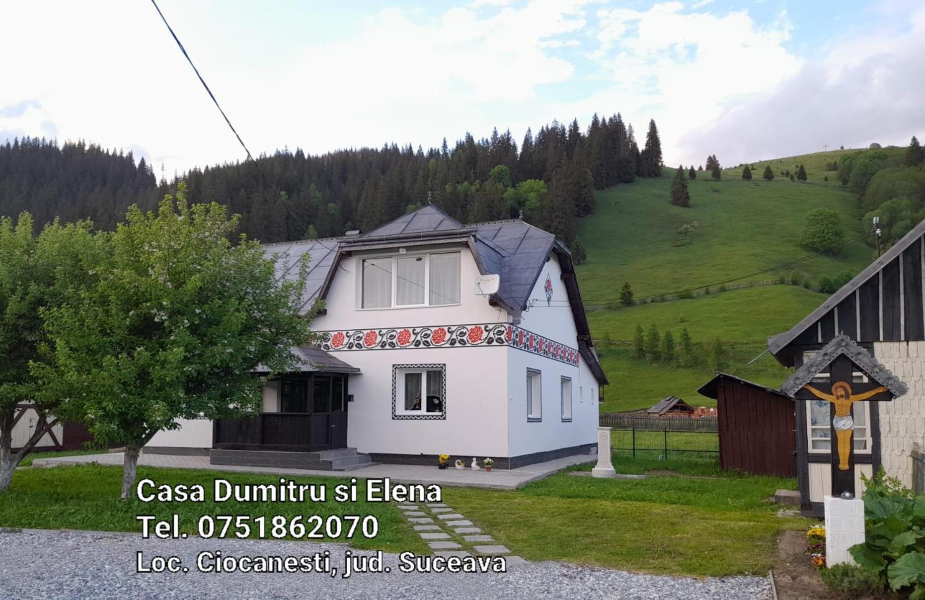 Casa Dumitru Si Elena Ciocanesti Bucovina Pokój zdjęcie
